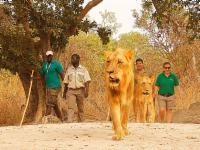 Fathala Wildlife  Reserve