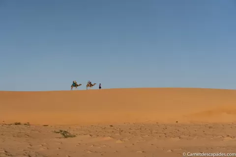 Camp du desert